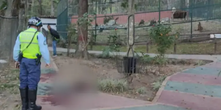 Tras 65 días de agonía, murió vigilante que intentó acariciar a un león en estado de ebriedad