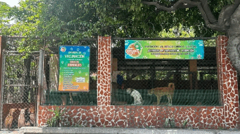 Denuncian abuso sexual de mujer en refugio canino en El Valle