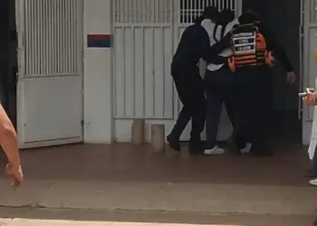 Ataque de un enjambre de abejas dejó al menos 32 heridos en Falcón