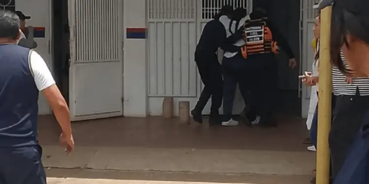 Ataque de un enjambre de abejas dejó al menos 32 heridos en Falcón