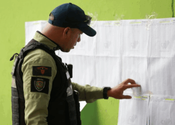 Así transcurren las elecciones regionales y parlamentarias 2025 (Fotos)