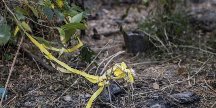Venezuela registró 34 posibles feminicidios en el primer trimestre del año