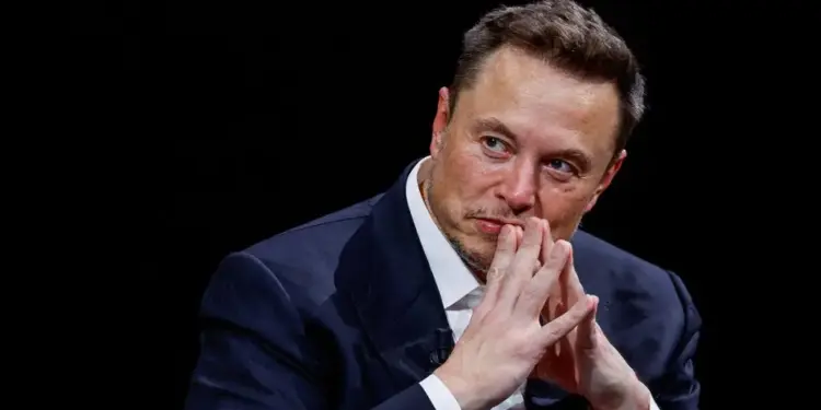 Exasesor de Trump pidió a EE. UU. investigar el estatus migratorio de Elon Musk «para su deportación»