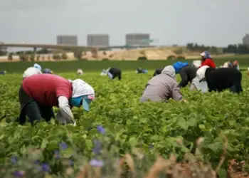 Trump plantea «pase temporal» para inmigrantes que trabajan en granjas y hoteles