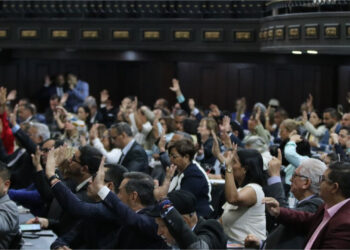 AN aprueba en primera discusión Ley sobre establecimiento de la Organización Internacional para la Mediación