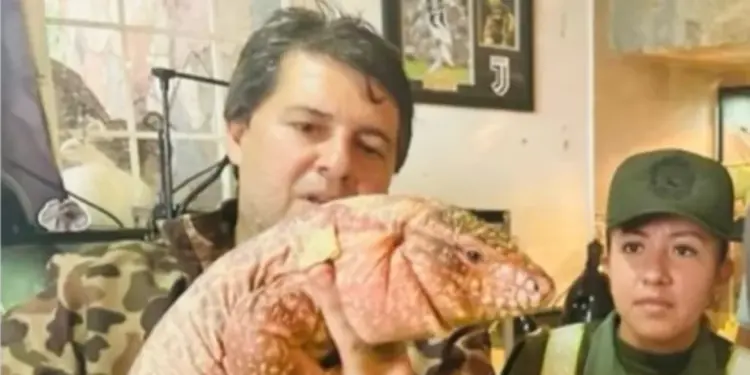 Gobierno anuncia el rescate de 1116 animales silvestres que estaban en cautiverio