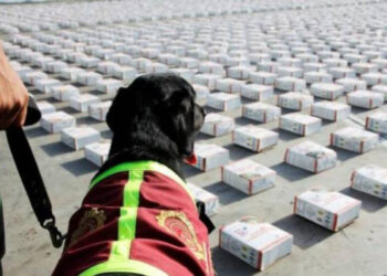 Más de tres millones de dosis de sustancias ilícitas han incautado las autoridades venezolanas en este 2025