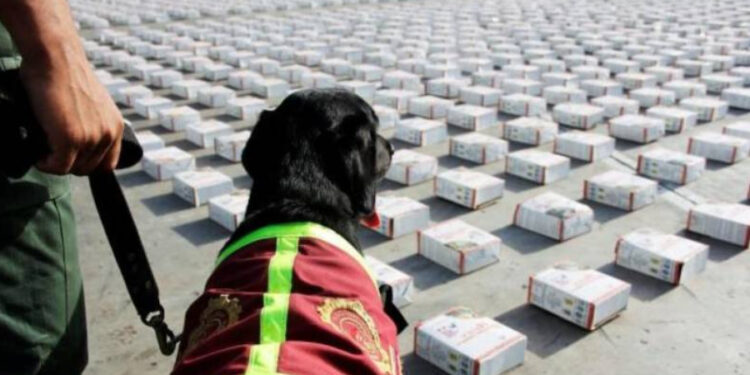 Más de tres millones de dosis de sustancias ilícitas han incautado las autoridades venezolanas en este 2025