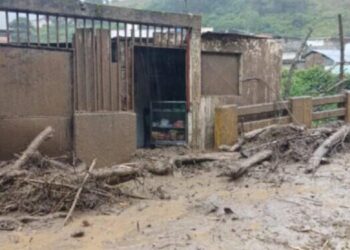 Gobernador de Mérida reporta 273 familias afectadas por las lluvias