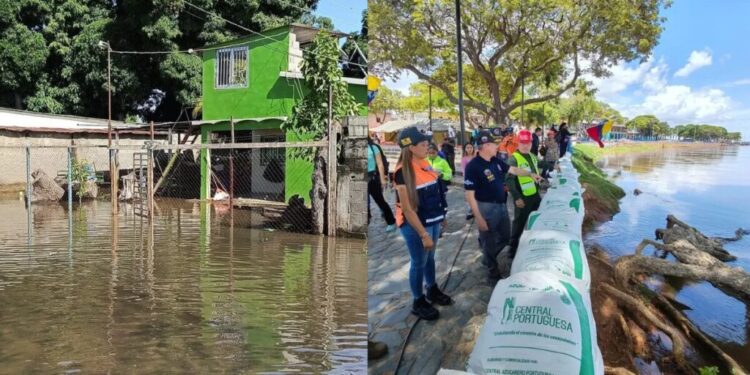 Crecida del Orinoco afecta al menos ocho sectores en Bolívar