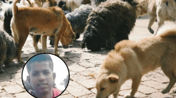 Venezolano pierde sus brazos tras brutal ataque de perros en Colombia