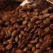 Venezuela exportó 86 mil quintales de café durante el primer semestre del año