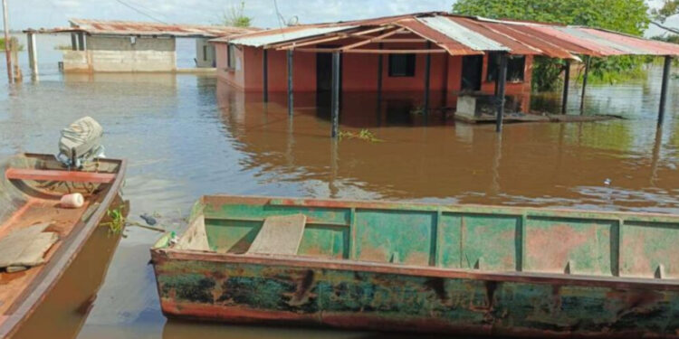 Bolívar en «alerta máxima» por crecida del nivel en el río Orinoco