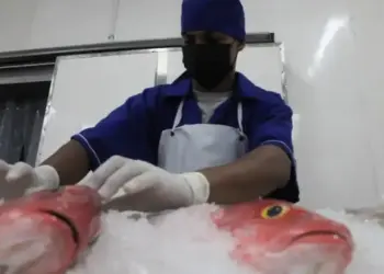 Miranda exportó 24 toneladas de tajalí a China desde la planta procesadora Higuemar