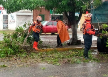 Organismos de seguridad se mantienen activos en Anzoátegui ante afectaciones por lluvias