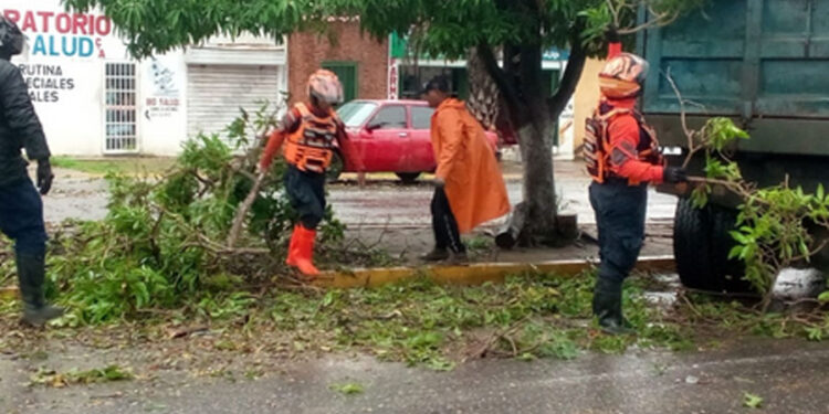 Organismos de seguridad se mantienen activos en Anzoátegui ante afectaciones por lluvias