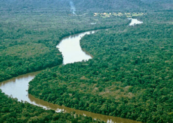 Crecida del río Orinoco deja más de 50 familias incomunicadas en Delta Amacuro