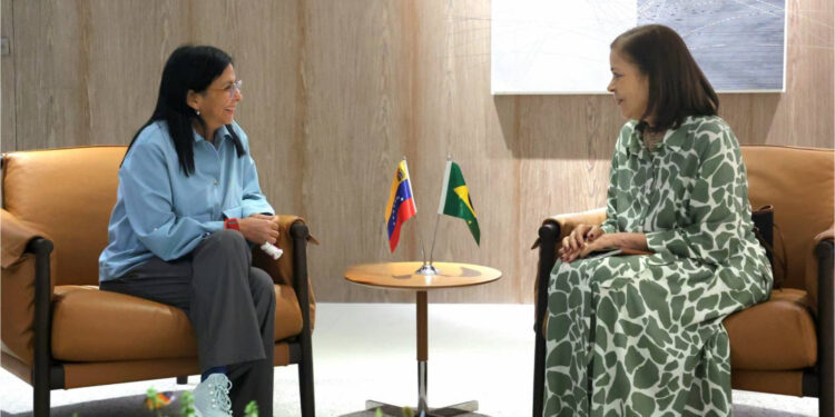 Delcy Rodríguez revisó agenda de cooperación bilateral con embajadora de Brasil