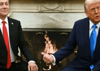 “Detengan la guerra en Gaza”: 550 exjefes de Israel abogan por la paz