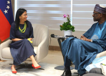 Vicepresidenta Rodríguez y ministro de Mali acuerdan fortalecer cooperación bilateral y promover unión regional