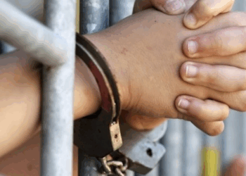 Autoridades detienen a tres hombres acusados de minería ilegal en Amazonas