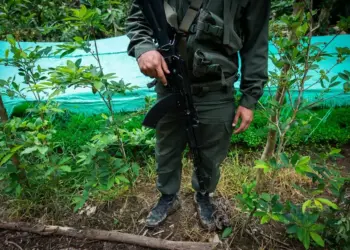 Autoridades venezolanas destruyen una pista aérea clandestina de narcotráfico internacional en Falcón