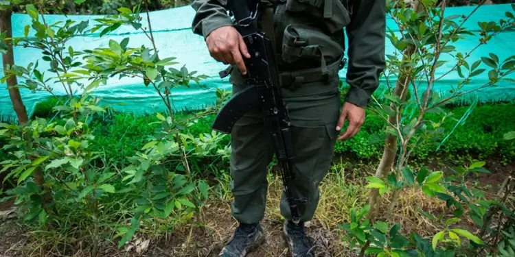 Autoridades venezolanas destruyen una pista aérea clandestina de narcotráfico internacional en Falcón