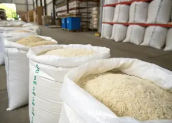 Estiman que la producción de arroz venezolano superará las 680.000 toneladas este 2025