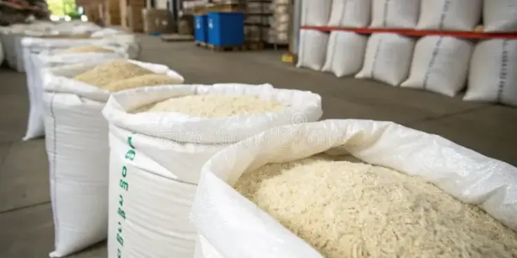 Estiman que la producción de arroz venezolano superará las 680.000 toneladas este 2025
