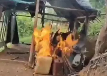 FANB destruye campamento de minería ilegal en Amazonas