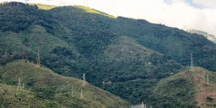 Investigan cierre irregular del paso peatonal en parque Warairarepano