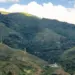 Investigan cierre irregular del paso peatonal en parque Warairarepano
