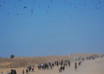 Hamás liberó a los últimos 20 rehenes israelíes vivos