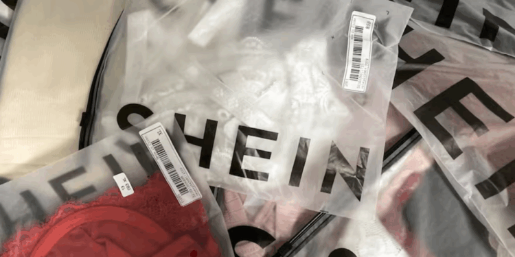 Francia evalúa prohibir Shein si vuelve a vender muñecas sexuales en la página web