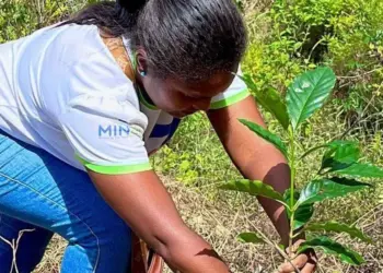 Plantan 32.566 árboles en 123 hectáreas para recuperar ecosistemas venezolanos