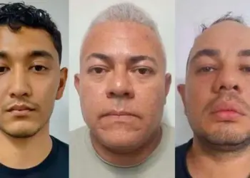 Desarticulan red especializada en robo de fondos bancarios mediante phishing