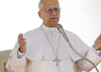 «Cuiden de la creación»: el pedido del papa León XIV ante el cambio climático