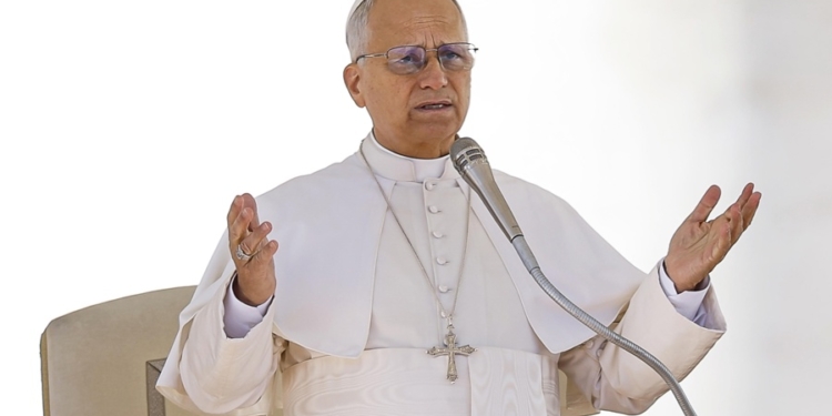 «Cuiden de la creación»: el pedido del papa León XIV ante el cambio climático