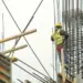 Sector venezolano de construcción solicita modificación de tres leyes
