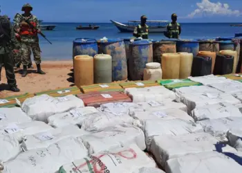 Autoridades incautaron 1.253 kilos de marihuana en el oeste del país