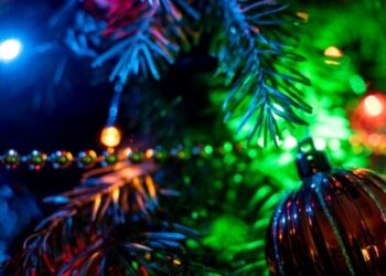 Un hombre y su mascota murieron en un incendio causado presuntamente por luces de Navidad