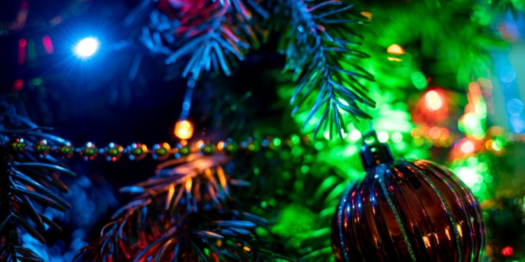 Un hombre y su mascota murieron en un incendio causado presuntamente por luces de Navidad