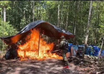 Fanb destruye tres campamentos de minería y narcotráfico en Amazonas