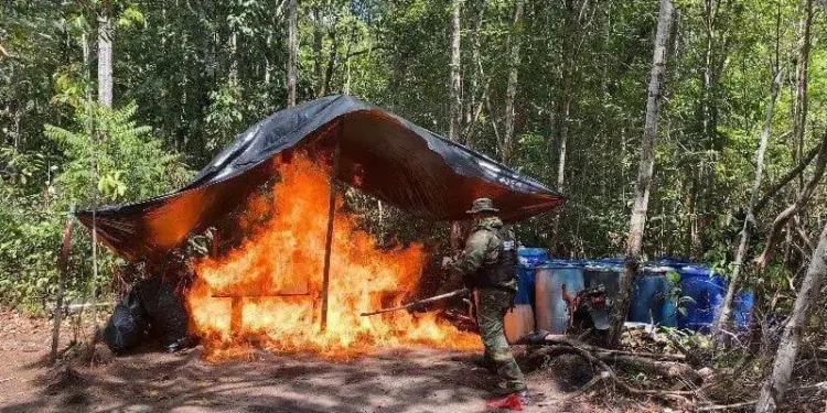 Fanb destruye tres campamentos de minería y narcotráfico en Amazonas