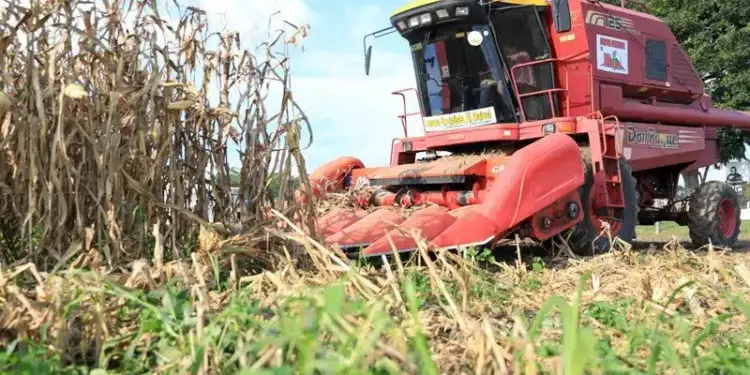 Venezuela reporta crecimiento del 8,6% en sector agrícola y pecuario en 2025