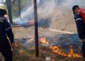 Inameh alerta sobre riesgo «muy alto» de incendios forestales en varias zonas del país
