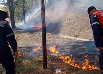 Inameh alerta sobre riesgo «muy alto» de incendios forestales en varias zonas del país