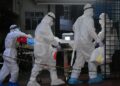 OMS advierte «bajo» riesgo, pero vigilancia por virus Nipah en Asia