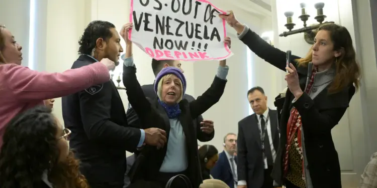 Manifestante irrumpe en la OEA y acusa a EE.UU. de actuar en Venezuela por el petróleo