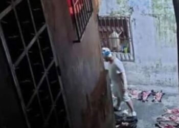 Hallazgo de decenas de mascotas muertas en Caracas estremece a la comunidad y activa investigaciones policiales